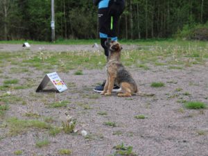 Rallylydnad Öppenträning 10/5