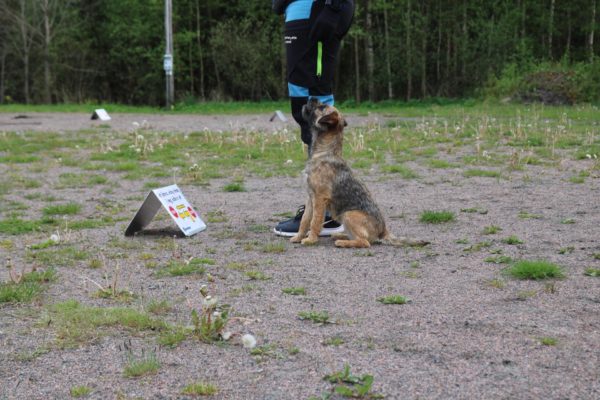 Rallylydnad Öppenträning 10/5