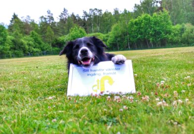 Rallylydnad Öppenträning