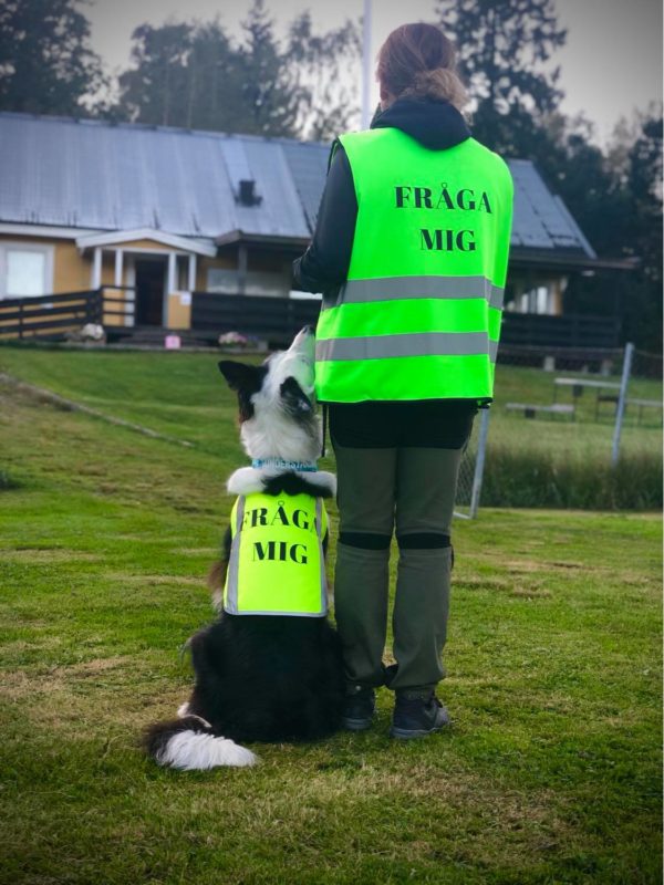 "Allmän Träning" - torsdag 6 maj