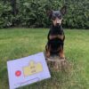 Rallylydnad nybörjare/fortsättning start 15 maj