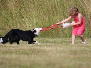 Sommarlov på KBHK för barn 6–8 år / 5 augusti