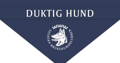 Duktig hund diplomering