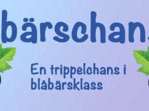 Agility blåbärstävling 1/9 (deltävling 3 i cupen)