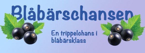 Agility blåbärstävling 1/9 (deltävling 3 i cupen)