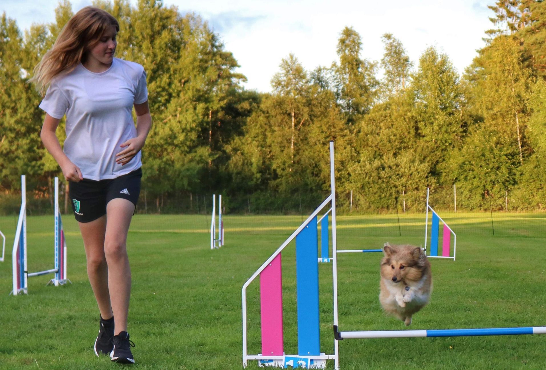 Agility
