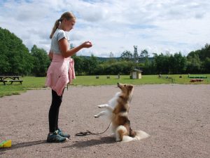 Prova på dag för ungdomar 12-16 år, 26 juni