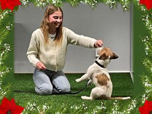 Jullovstrix för ungdomar, 11-18 år, 27 december