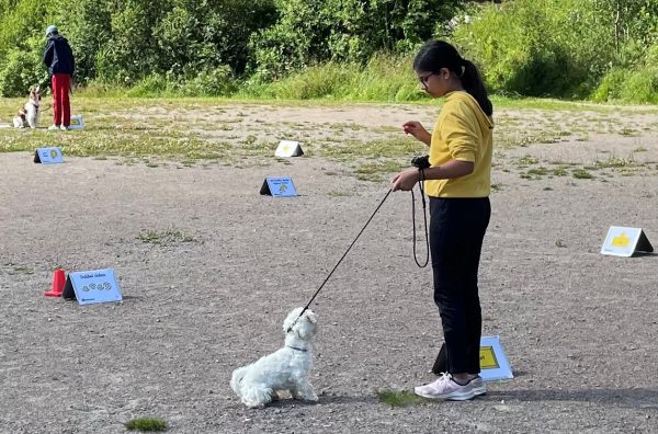 Workshop i Rallylydnad för ungdomar, 11-18 år, 24/2