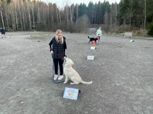 ÖPPENTRÄNING DISCO-RALLY  6-25 ÅR, 4/10