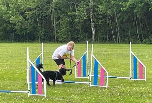 ÖPPENTRÄNING AGILITY  6–25 ÅR, 27/4