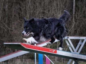 Temadag Handling klass 1-2, 28/5 14.15-15.45