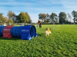 Workshop agility  6–25 ÅR, 20/9
