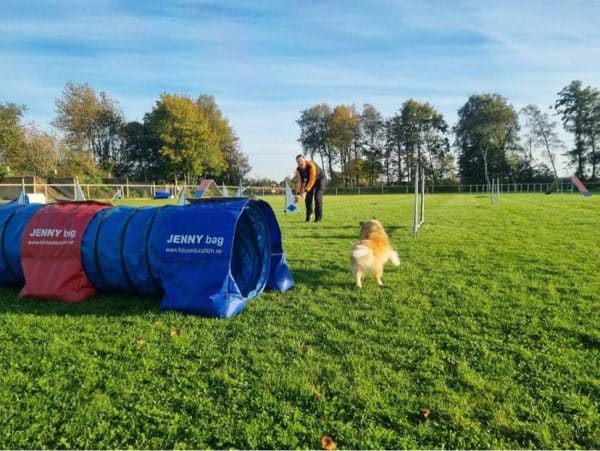 Workshop agility  6–25 ÅR, 20/9
