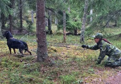 Prova på Patrullhund 8/10 kl 13-16