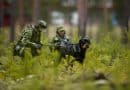 Anlagstest inför patrullhundkurs 25-26 november
