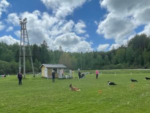 Coachgrupp brukslydnad appellklass start 15 oktober
