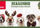 KBHK & Dogmans julkalender