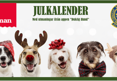 KBHK & Dogmans julkalender