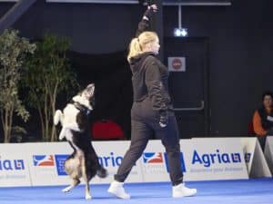 Freestyle/HtM programutvecklingskurs 5-6 juli 2025
