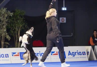 Freestyle/HtM programutvecklingskurs 5-6 juli 2025