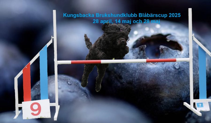 Agility blåbärstävling 28 maj 2025
